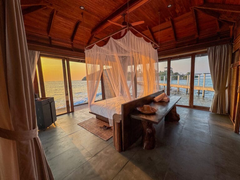 View from the Sunset Studio